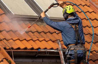 Démoussage et hydrofuge de toiture au Fournet